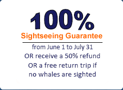 Whale Sightseeing Guarantee